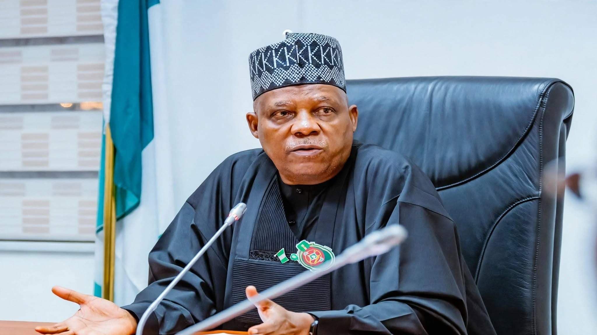 No More Waiting on FG for Power, Shettima Tells States