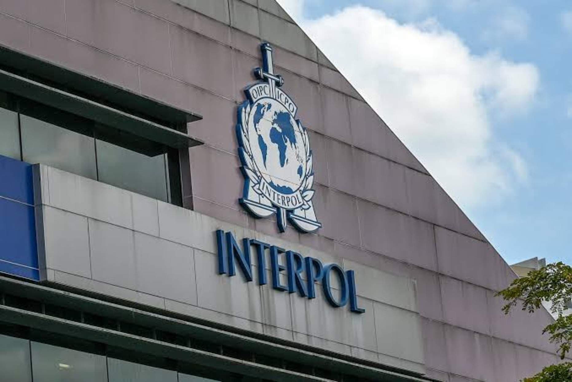 INTERPOL Nabs 2 in Nigeria Over $2.4m Fraud in Huge 21-Country Operation Serengeti III Crackdown